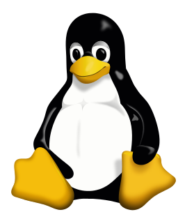 Webhosting with Linux Webhosting with Linux